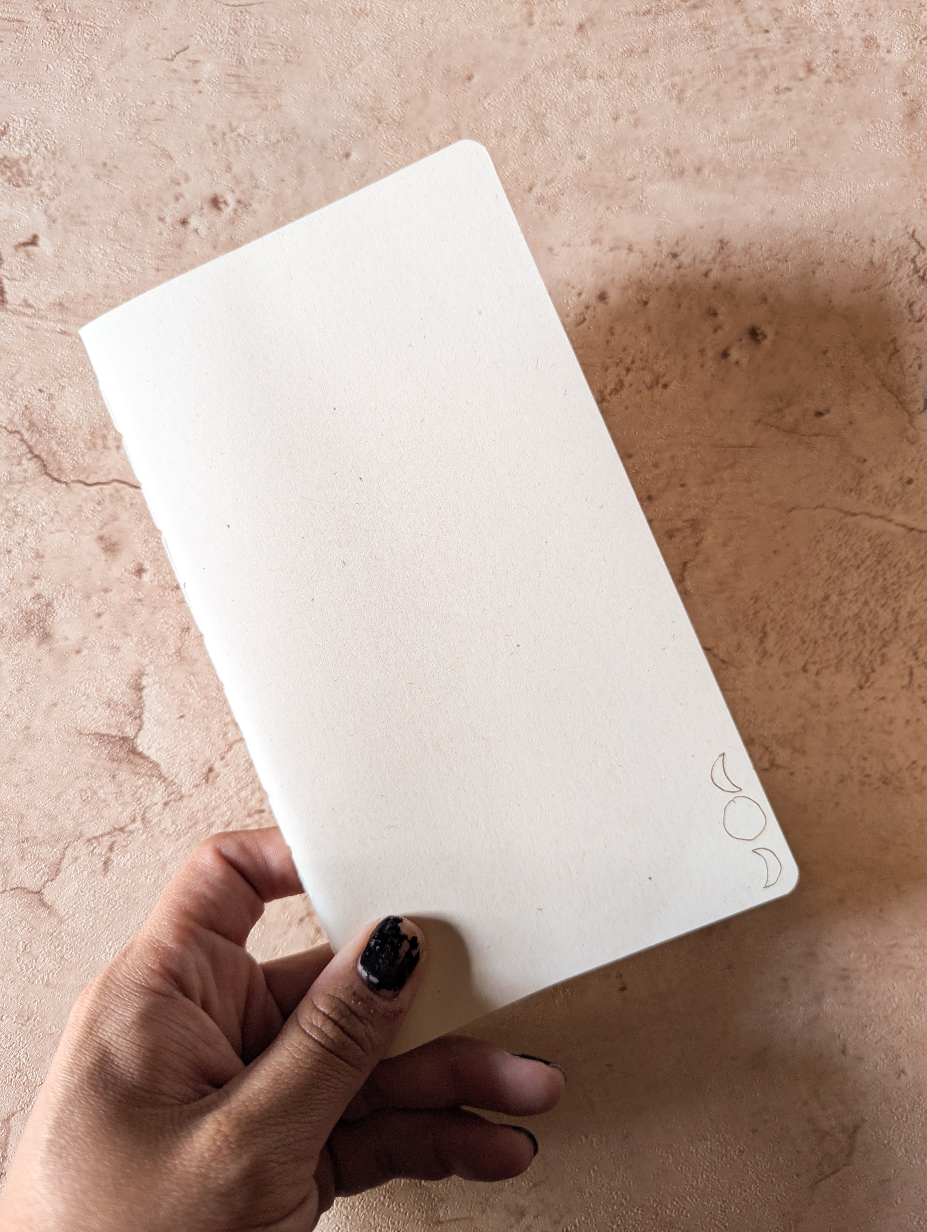 Phases Field Notebook