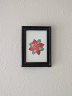 a framed print of a watercolor and pen poinsettia flower hanging on a white wall