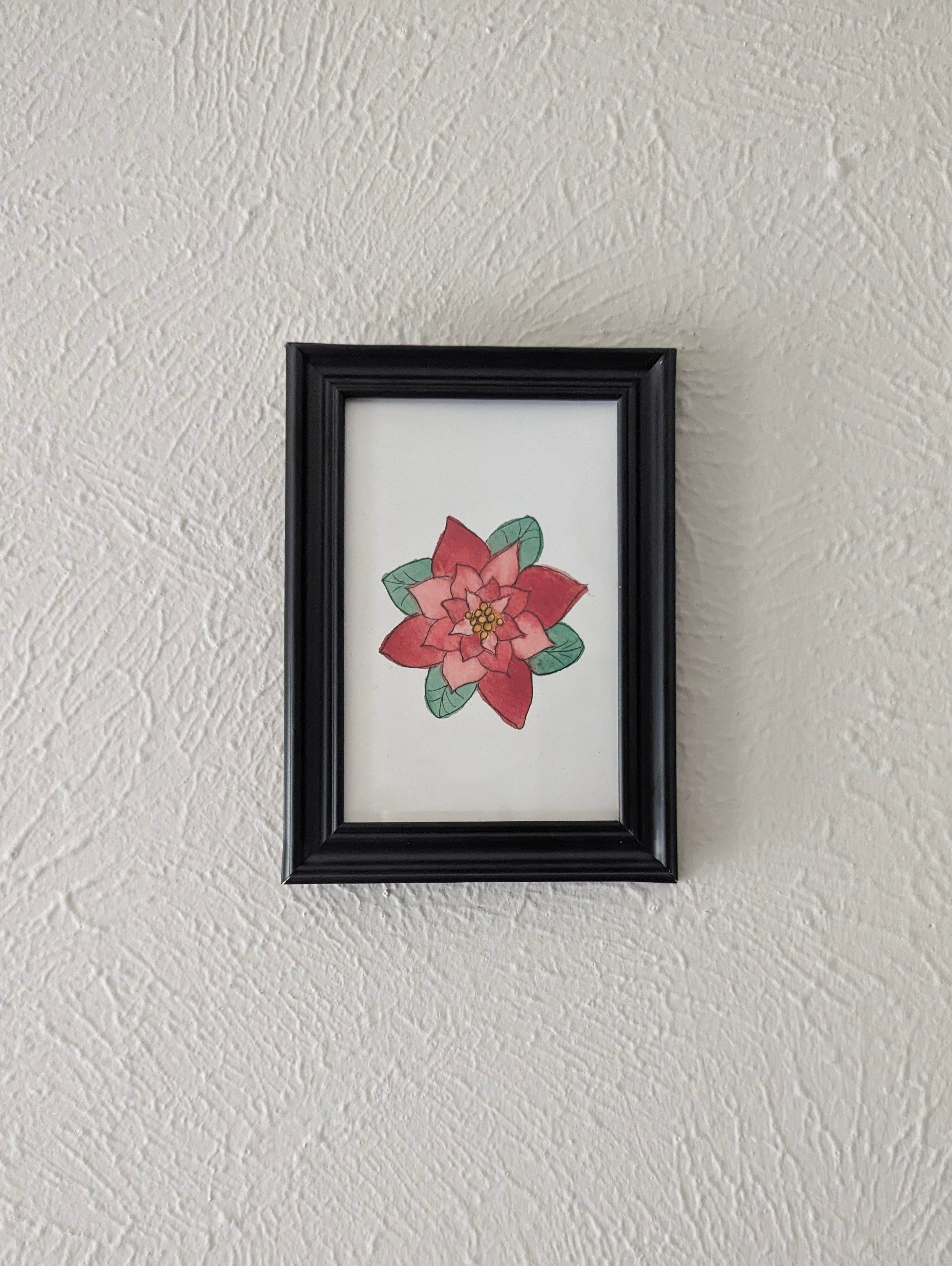 a framed print of a watercolor and pen poinsettia flower hanging on a white wall